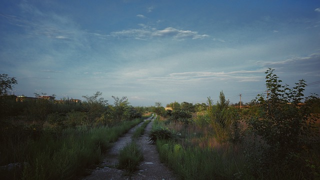 Best 5k Trail Races In Orange County