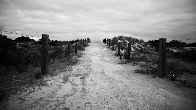 Best 5k Trail Races In Orange County